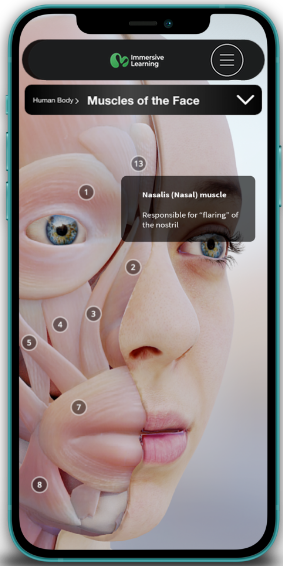 Human body in 3D
